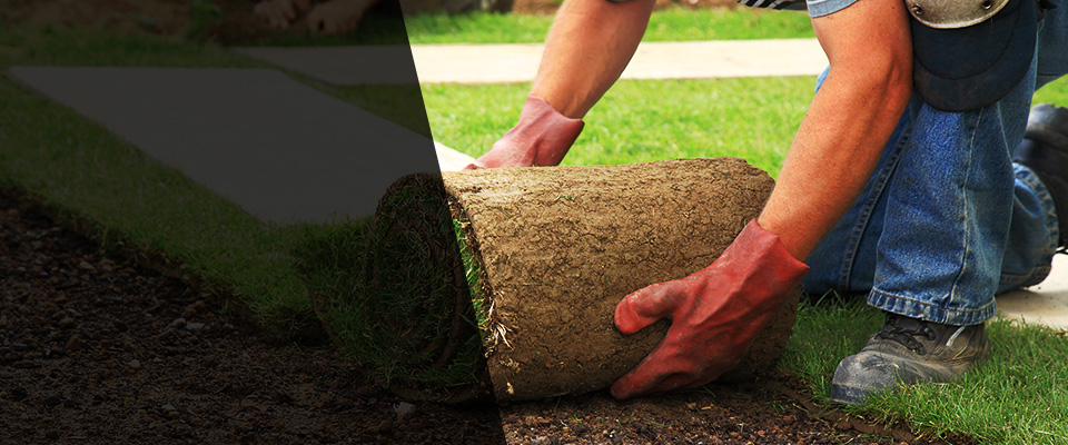 Illinois Landscapers